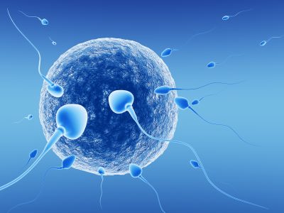 Διημερίδα για την εξωματική γονιμοποίηση και μοναδική προσφορά στο ΜΗΤΕΡΑ