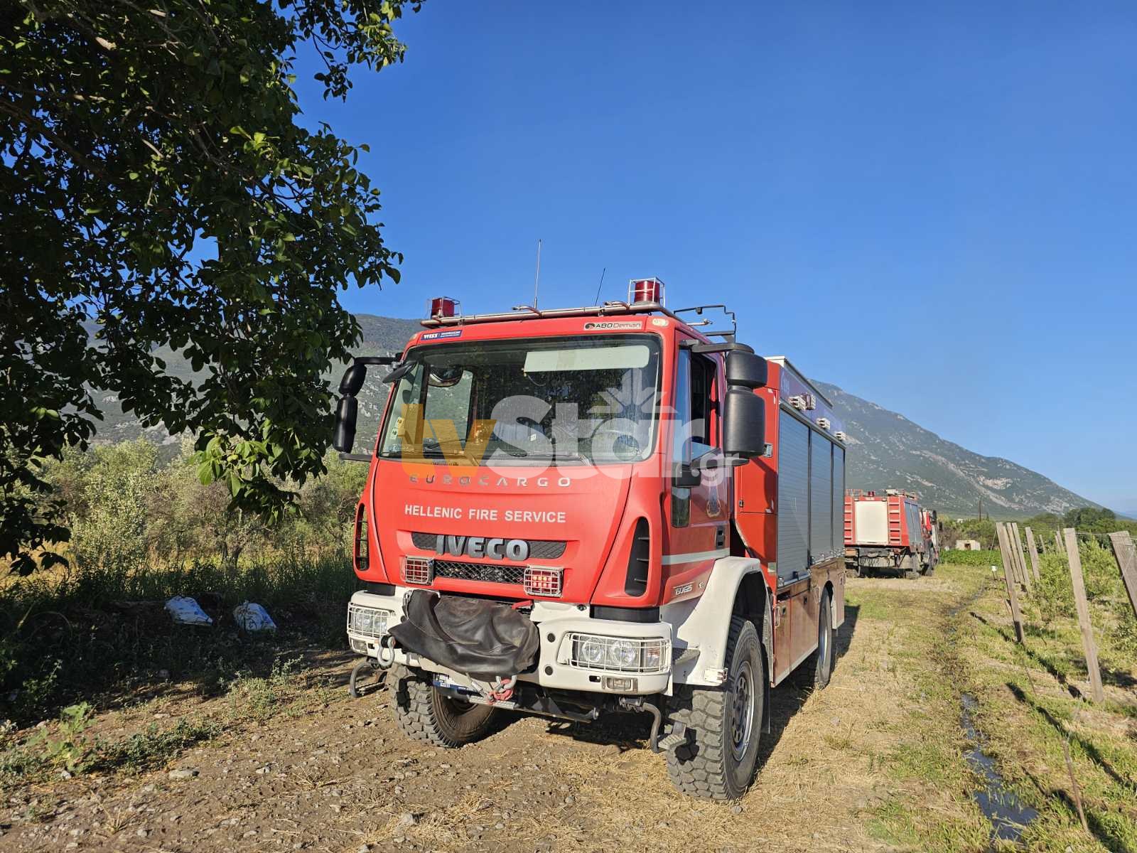 Σύλληψη 33χρονου για πυρκαγιά στον Ελαιώνα Θηβών